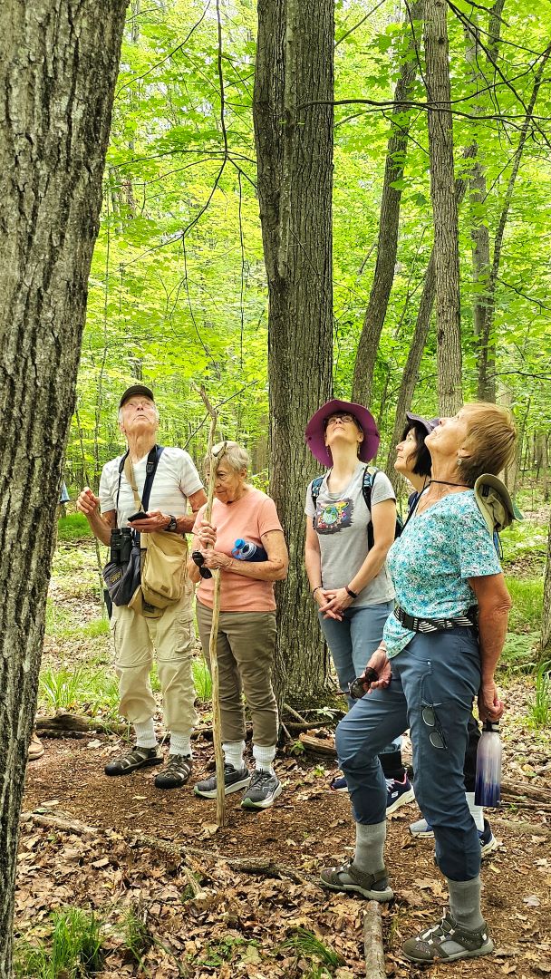 Trails-GroupLookingUp-Summer-2023-WB-608x1080