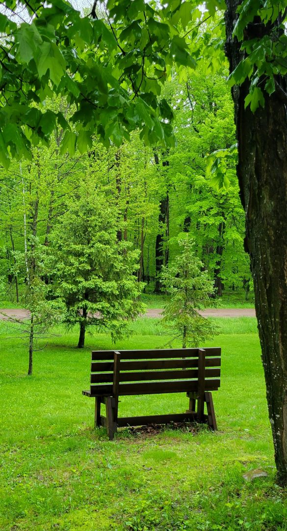 Bench-Summer-2022-VH-crop-585x1080