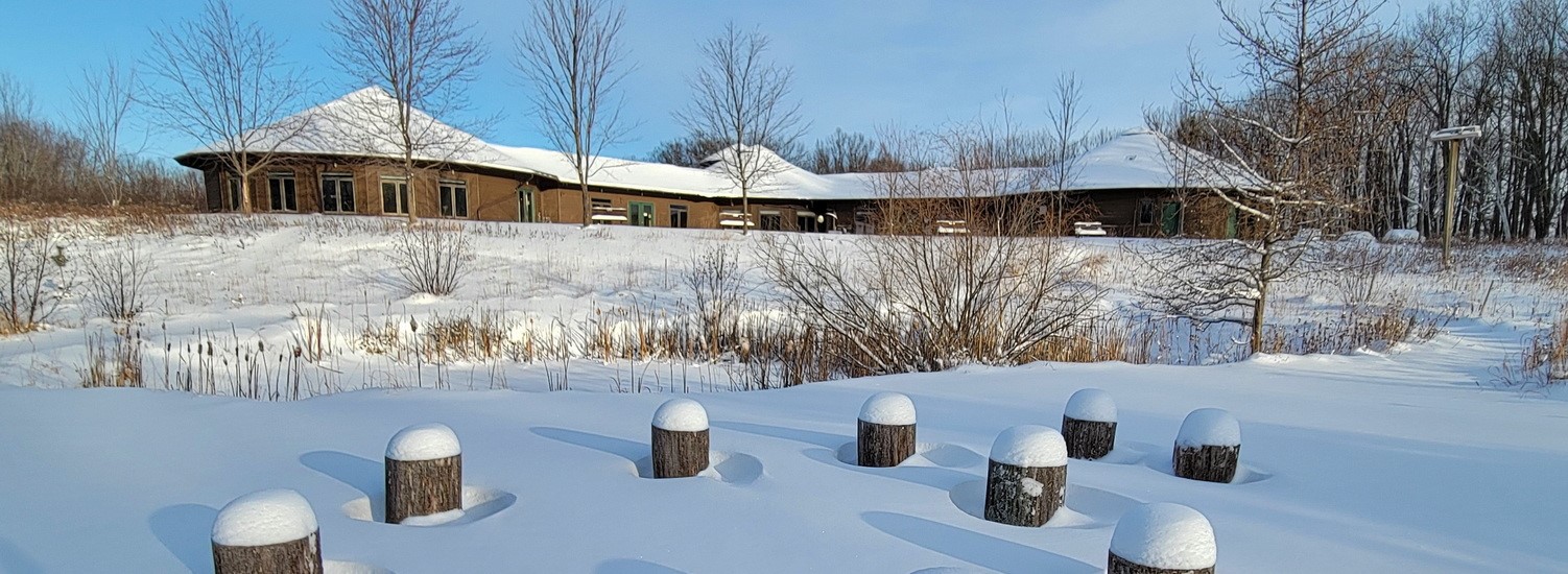IMAGO-Center-Snow-LogSeats-cr