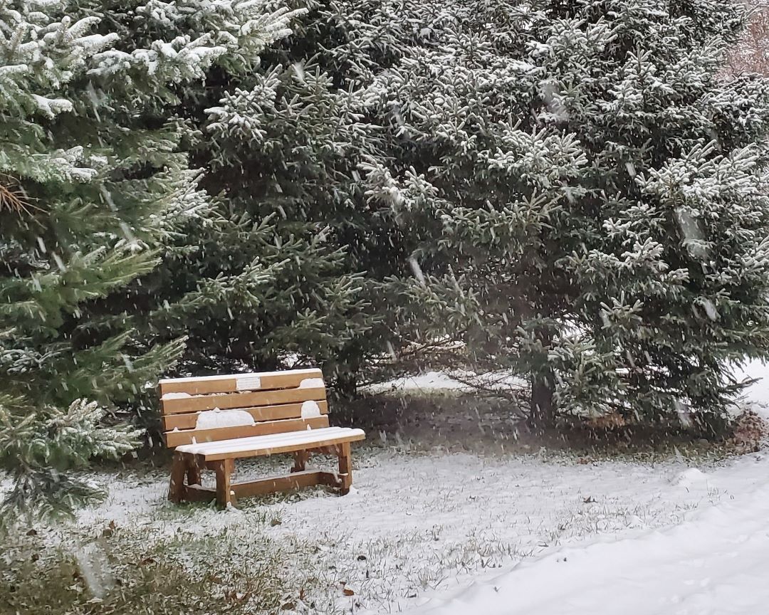Bench-Winter-rs-Imago